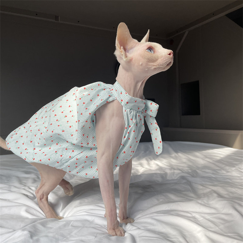 Cat Clothing in Summer Sweet L – обзор и цена Summer Light Clothing