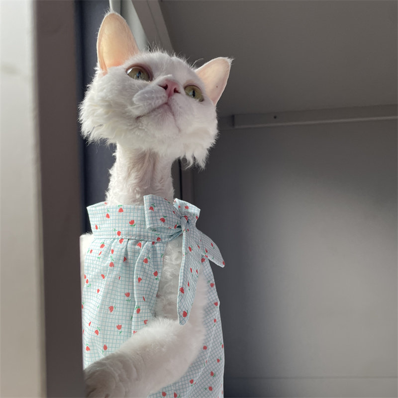 Cat Clothing in Summer Sweet L – обзор и цена Summer Light Clothing