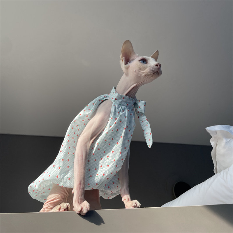 Cat Clothing in Summer Sweet L – обзор и цена Summer Light Clothing