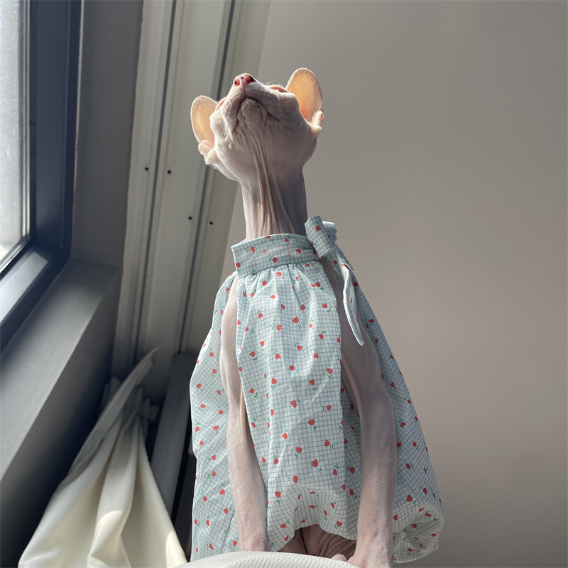 Cat Clothing in Summer Sweet L – обзор и цена Summer Light Clothing